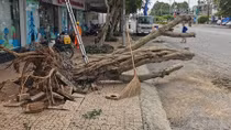 Mưa giông làm 45 căn nhà bị sập và tốc mái