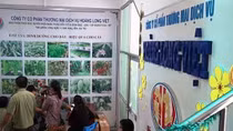 Tìm người thiệt hại liên quan đến Công ty Hoàng Long Việt 