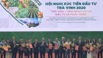  Xây dựng Trà Vinh thành tỉnh kiểu mẫu thích ứng với biến đổi khí hậu