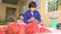 Chôm chôm Vĩnh Long tăng giá trở lại