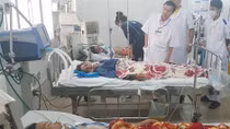 3 người nguy kịch sau bữa nhậu với cá nóc