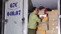 Bắt xe tải chở 15 tấn thực phẩm đông lạnh không rõ nguồn gốc