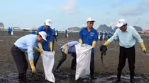 Cùng chung tay giữ màu xanh của biển