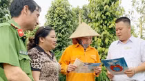 Vai trò trụ cột của chính sách Bảo hiểm xã hội, Bảo hiểm y tế trong hệ thống an sinh xã hội