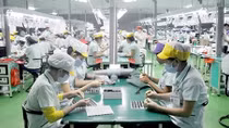 Người lao động có thêm nhiều việc làm