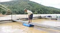 Hơn 4 tháng vẫn chưa thống kê xong thiệt hại vụ thuỷ điện Buôn Kuốp xả lũ 