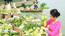 “Phượt” chợ nổi Cái Răng
