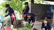 Hương núi thơm dâng hồn về đâu