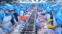 Hiệp định UKVFTA rộng mở xuất khẩu hàng hóa Việt Nam vào Anh