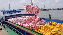 Đòn bẩy cho logistics nông sản châu thổ Cửu Long