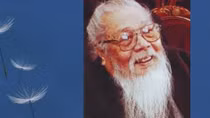 Chìm nổi cùng hương thời gian
