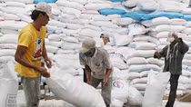 Bứt phá từ chính “luống cày cũ” (!)