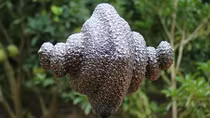 Triển lãm “HỎI” - Nơi trở về của bản ngã người nghệ sĩ
