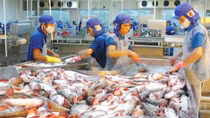 Xuất khẩu cá tra sang Trung Quốc tăng mạnh