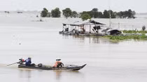 Miền Tây náo nức đón lũ