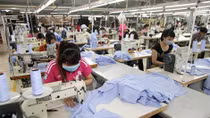 Gần 50% lao động buộc phải làm thêm giờ vì thu nhập thấp