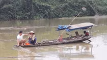 Thực trạng tận diệt thủy sản trên sông Lô