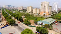 Nhói lòng ngắm 1.300 cây xanh trước ngày chặt hạ để làm đường ở Hà Nội