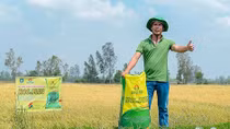 Mang lại năng suất cao, lợi nhuận nhiều