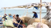Vật lộn mưu sinh trên lòng hồ Dầu Tiếng