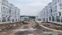 Truy cho tận gốc?