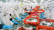 Cả nước đạt 33,56 tỷ USD từ xuất khẩu nông, lâm, thủy sản 