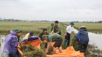 Hàng trăm chiến sĩ Công an lăn lộn cùng dân khắc phục hậu quả bão lũ