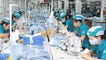 Đánh giá tác động của dịch COVID-19 tới hoạt động của doanh nghiệp 