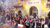 Đầu năm lên chùa