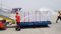 Hãng bay Việt chuyển hướng vận chuyển hàng hóa trước "cơn bão" dịch COVID-19