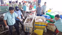 Phát hiện hơn 600kg thịt thối giữa chợ thị xã