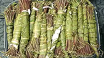Cần sớm đưa chất Cathinone và Cathine có trong lá "Khat" vào danh mục chất ma túy