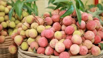 Sự tự tôn của vải thiều