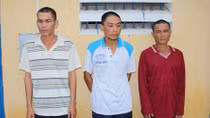 Trộm cả đàn vịt ngàn con trong một đêm