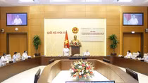 Nghiên cứu tiếp tục hoàn thiện pháp luật về bầu cử