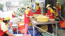 Cạnh tranh bình đẳng để khu vực tư nhân có thể lớn mạnh
