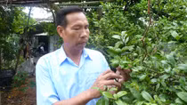 Người thương binh chiến thắng trong cuộc mưu sinh thời bình