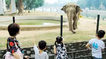 Công nhận điểm du lịch Vườn thú Hà Nội