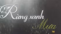 Huyền ảo những cơn mưa