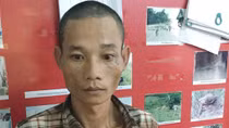 Tài xế chơi ma túy đá, chở gỗ lậu bằng xe... hết hạn lưu hành
