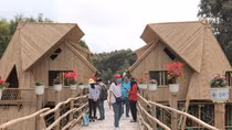 “Thịnh vượng” Trà Sư cho ngày trở lại