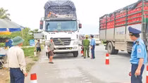 Tháng 11 có 788 tài xế bị tước giấy phép lái xe vì chở quá tải 
