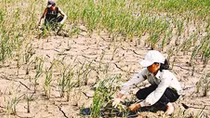 Nam Bộ khô nóng kéo dài đến hết tháng 4
