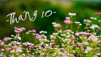Cầm tay tháng Mười...