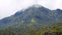 Người đàn bà bên thung lũng Yang Tao