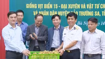 Những hi vọng từ bên trong