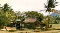 Mái nhà xưa