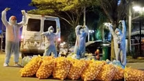 1001 câu chuyện nơi tâm dịch