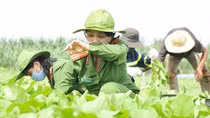 Những chuyến hàng nặng nghĩa tình từ Tây Nguyên