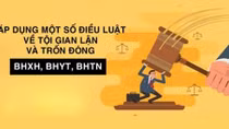 Đề nghị xử lý hình sự 14 doanh nghiệp “trốn” đóng bảo hiểm xã hội